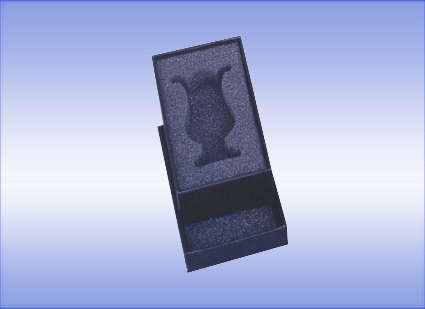 ͺţP77